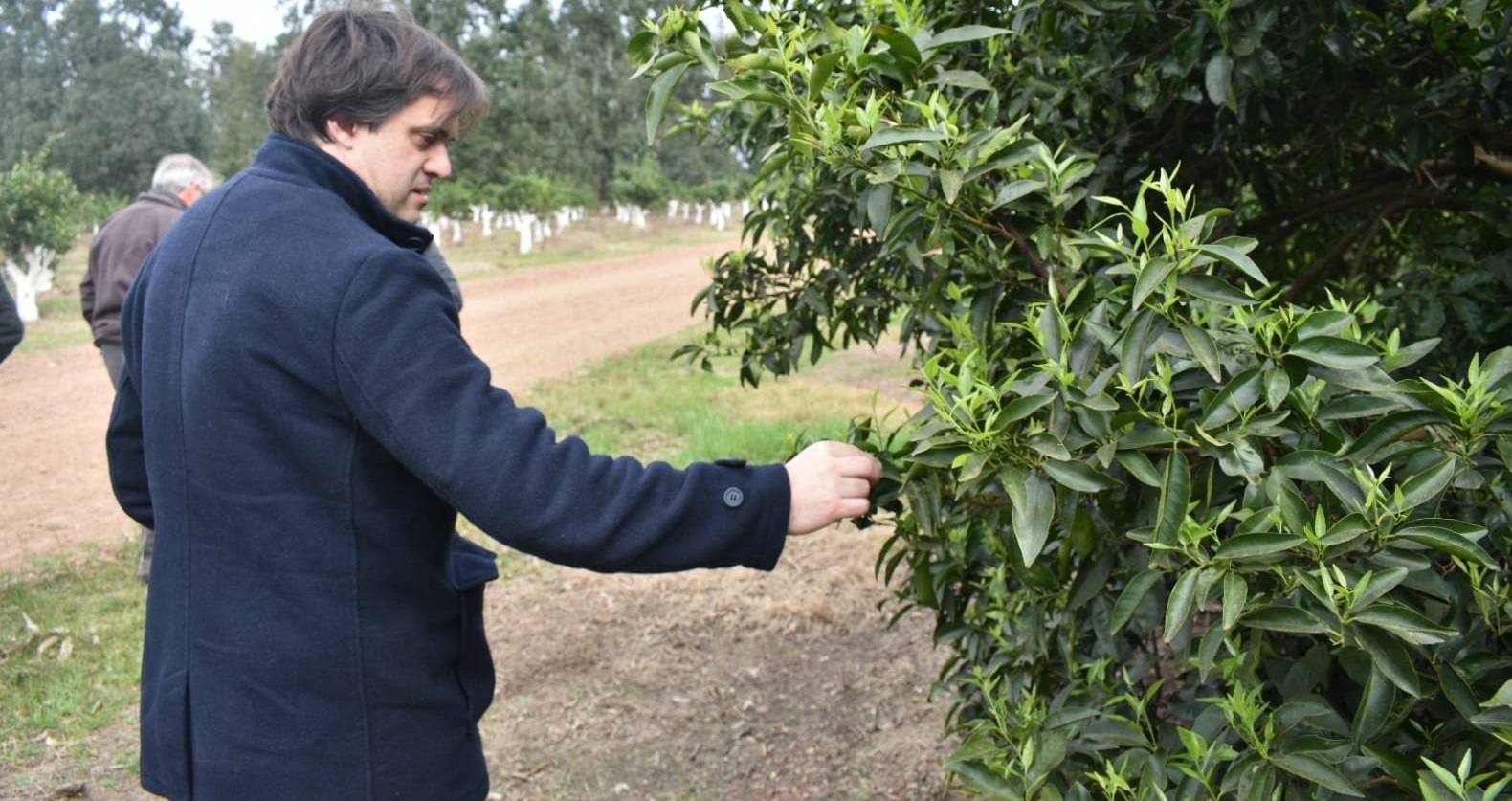 Uruguay y su recambio generacional surte efecto desde el primer